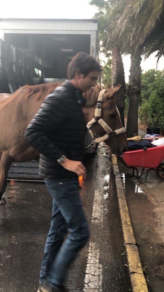 Caballo bajando del cami&oacute;n en el Club H&iacute;pico Oropesa
